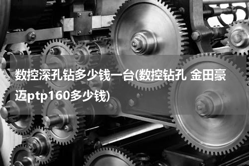数控深孔钻多少钱一台(数控钻孔 金田豪迈ptp160多少钱)