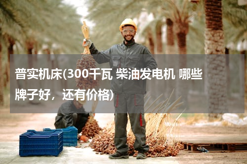 普实机床(300千瓦 柴油发电机 哪些牌子好，还有价格)