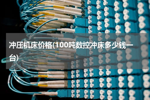 冲压机床价格(100吨数控冲床多少钱一台)