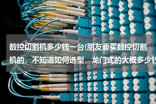 数控切割机多少钱一台(朋友要买数控切割机的，不知道如何选型，龙门式的大概多少钱？)