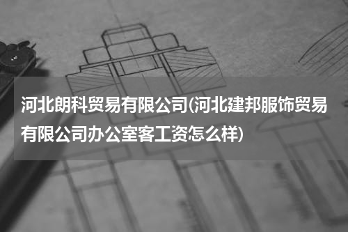 河北朗科贸易有限公司(河北建邦服饰贸易有限公司办公室客工资怎么样)