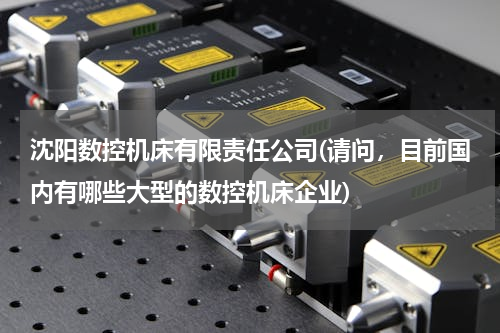 沈阳数控机床有限责任公司(请问，目前国内有哪些大型的数控机床企业)