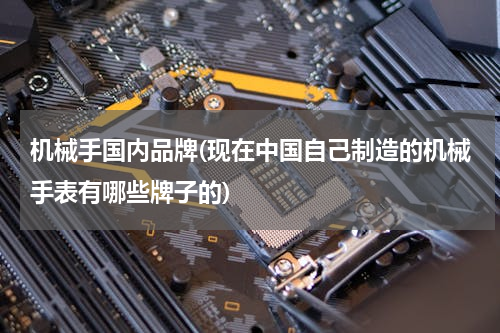 机械手国内品牌(现在中国自己制造的机械手表有哪些牌子的)