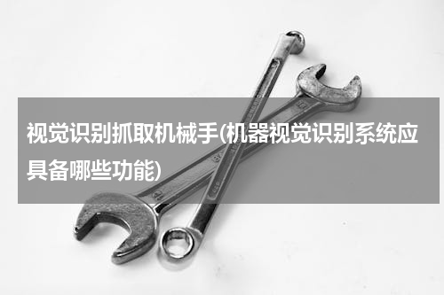 视觉识别抓取机械手(机器视觉识别系统应具备哪些功能)