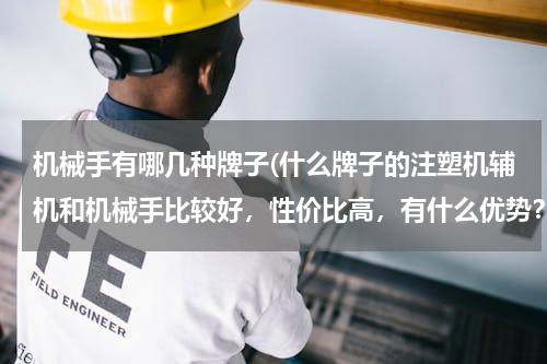 机械手有哪几种牌子(什么牌子的注塑机辅机和机械手比较好，性价比高，有什么优势？)
