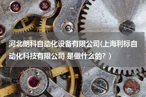 河北朗科自动化设备有限公司(上海利标自动化科技有限公司 是做什么的？)