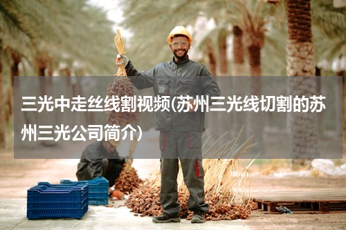 三光中走丝线割视频(苏州三光线切割的苏州三光公司简介)