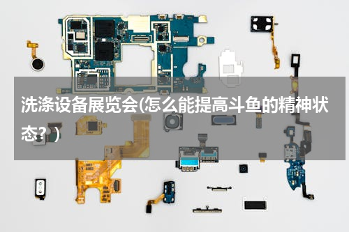 洗涤设备展览会(怎么能提高斗鱼的精神状态？)