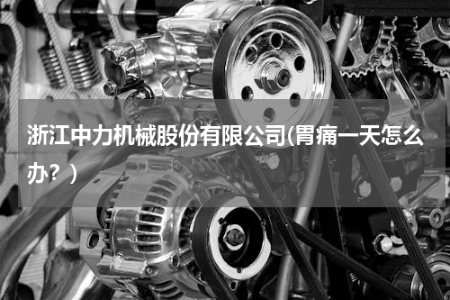 浙江中力机械股份有限公司(胃痛一天怎么办？)
