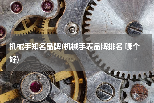 机械手知名品牌(机械手表品牌排名 哪个好)