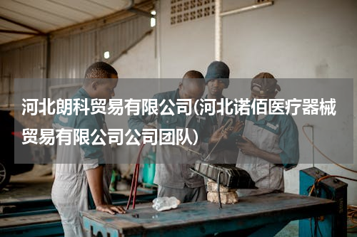 河北朗科贸易有限公司(河北诺佰医疗器械贸易有限公司公司团队)