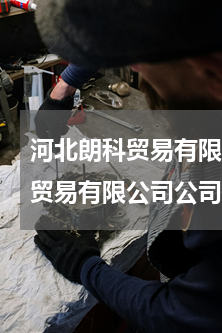 河北朗科贸易有限公司(河北诺佰医疗器械贸易有限公司公司团队)