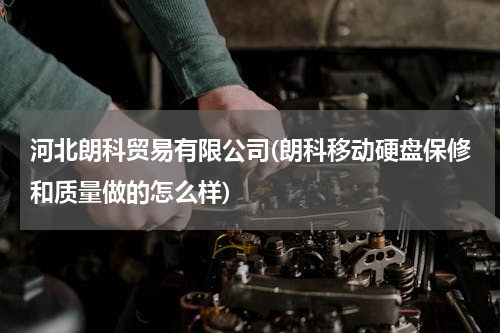 河北朗科贸易有限公司(朗科移动硬盘保修和质量做的怎么样)