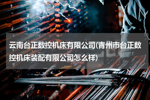 云南台正数控机床有限公司(青州市台正数控机床装配有限公司怎么样)