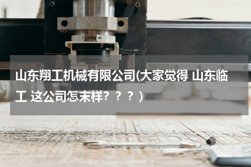 山东翔工机械有限公司(大家觉得 山东临工 这公司怎末样？？？)