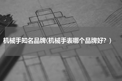 机械手知名品牌(机械手表哪个品牌好？)