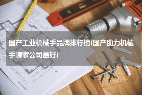 国产工业机械手品牌排行榜(国产助力机械手哪家公司最好)