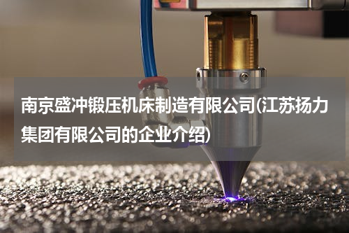 南京盛冲锻压机床制造有限公司(江苏扬力集团有限公司的企业介绍)