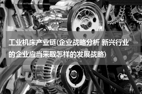 工业机床产业链(企业战略分析 新兴行业的企业应当采取怎样的发展战略)