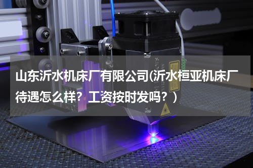山东沂水机床厂有限公司(沂水桓亚机床厂待遇怎么样？工资按时发吗？)