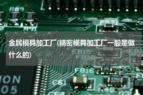 金属模具加工厂(精密模具加工厂一般是做什么的)