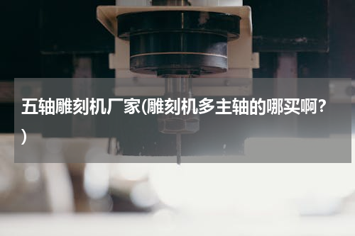 五轴雕刻机厂家(雕刻机多主轴的哪买啊？)