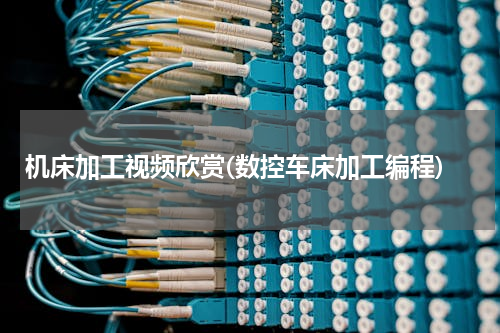 机床加工视频欣赏(数控车床加工编程)