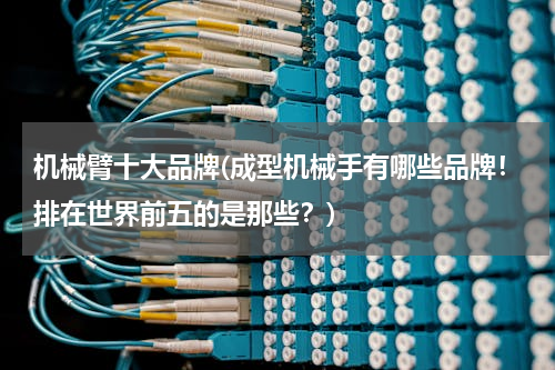 机械臂十大品牌(成型机械手有哪些品牌！排在世界前五的是那些？)