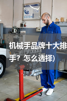 机械手品牌十大排行(哪个牌子的冲压机械手？怎么选择)