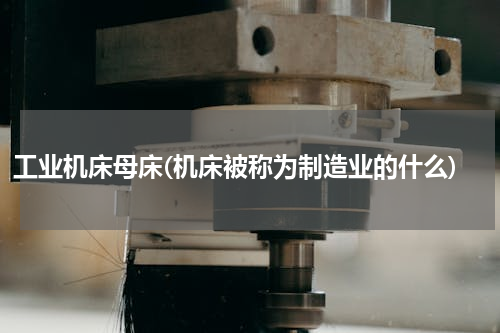 工业机床母床(机床被称为制造业的什么)