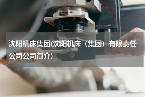沈阳机床集团(沈阳机床（集团）有限责任公司公司简介)