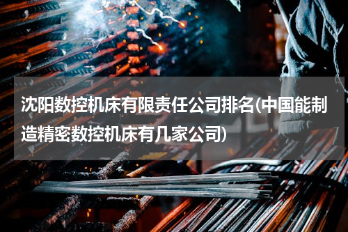 沈阳数控机床有限责任公司排名(中国能制造精密数控机床有几家公司)